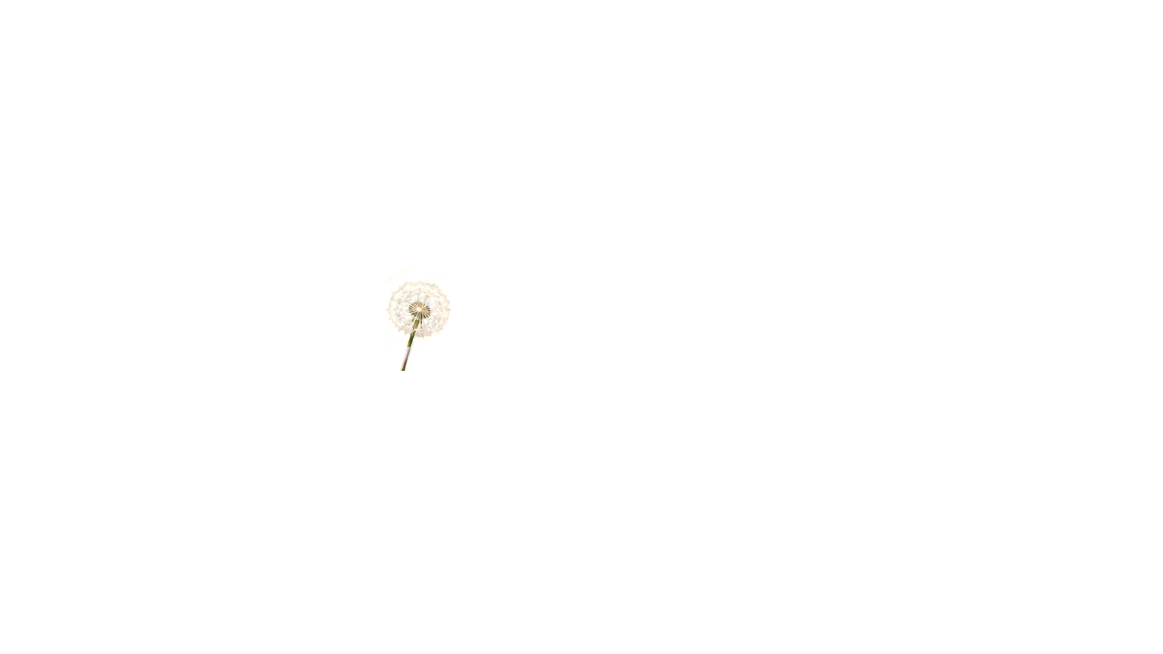 The robot holds up a dandelion seed head